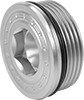 Pipe Plugs