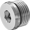 Pipe Plugs