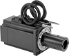 Electric Motors