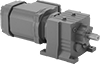 Electric Gearmotors