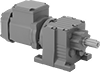 Electric Gearmotors