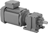 Electric Gearmotors