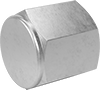 Precision Extreme-Pressure Stainless Steel Threaded Pipe Fittings
