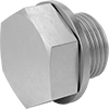 Pipe Plugs