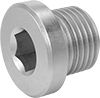 Pipe Plugs