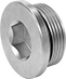 Image of Product. Male. Front orientation. Pipe and Fittings. High-Pressure Iron and Steel Threaded Pipe Fittings, Hex-Drive Plugs with Gasket, Threaded Fitting Connection, Male.