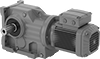 Electric Gearmotors