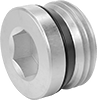 Pipe Plugs