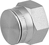 Image of Product. Cap. Front orientation. Pipe and Fittings. High-Pressure Iron and Steel Threaded Pipe Fitting Assortments.