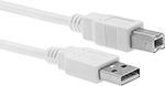 Image of Product. Front orientation. USB Cords. USB Cords, Straight USB-A Plug × Straight USB-B Plug, USB 2.0.