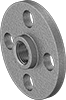 Low-Pressure Brass and Bronze Threaded Pipe Flanges