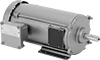 Hazardous Location Base-Mount AC Motors