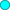 Spec Image