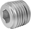 Pipe Plugs