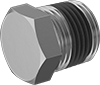 Pipe Plugs