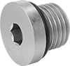 Pipe Plugs