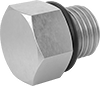 Pipe and Fittings