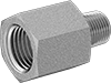 Extreme-Pressure Iron and Steel Threaded Pipe Fittings