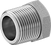 Extreme-Pressure Iron and Steel Threaded Pipe Fittings
