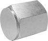 Extreme-Pressure Stainless Steel Threaded Pipe Fittings