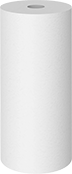 Image of Product. Front orientation. Filter Cartridges. Long-Life Filter Cartridges for Reducing Particles in Water, Solid.