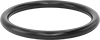 Steam- and Ultra-Chemical-Resistant Aflas O-Rings