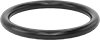 Steam- and Ultra-Chemical-Resistant Aflas O-Rings