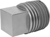 Low-Pressure Iron and Steel Threaded Pipe Fittings with Sealant