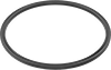 Backup Rings