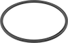 Backup Rings
