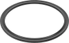 Backup Rings