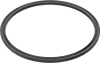 Backup Rings