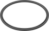 Backup Rings