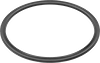 Backup Rings