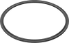 Backup Rings