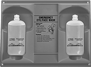 Image of Product. Front orientation. Eye Wash Stations. Wall-Mount Supplemental Eye Wash Station.