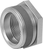 Low-Pressure Iron and Steel Threaded Pipe Fittings with Sealant