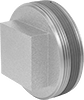 Low-Pressure Iron and Steel Threaded Pipe Fittings with Sealant