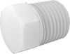 Pipe Plugs