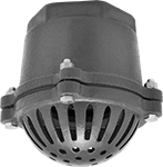 Image of Product. Front orientation. Strainers. Suction Strainers with Backflow-Prevention Valve, With Iron Female Threaded Pipe Fitting Connections.