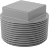 Protective Plugs