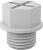 Protective Plugs