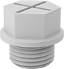 Protective Plugs
