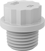Protective Plugs