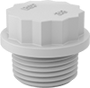 Protective Plugs