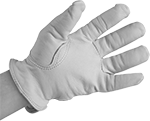 Image of Product. Front orientation. Gloves. Leather Cold-Protection Gloves, Women's Deerskin Leather.