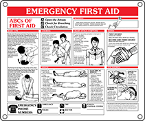 Image of Product. Front orientation. Signs. First-Aid Instructional Signs, Emergency First Aid (English).