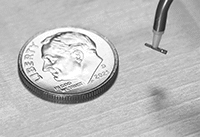 Image of ProductInUse. Front orientation. Acetal Cup.