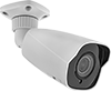 Surveillance Systems