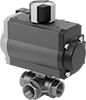 Diverting Valves